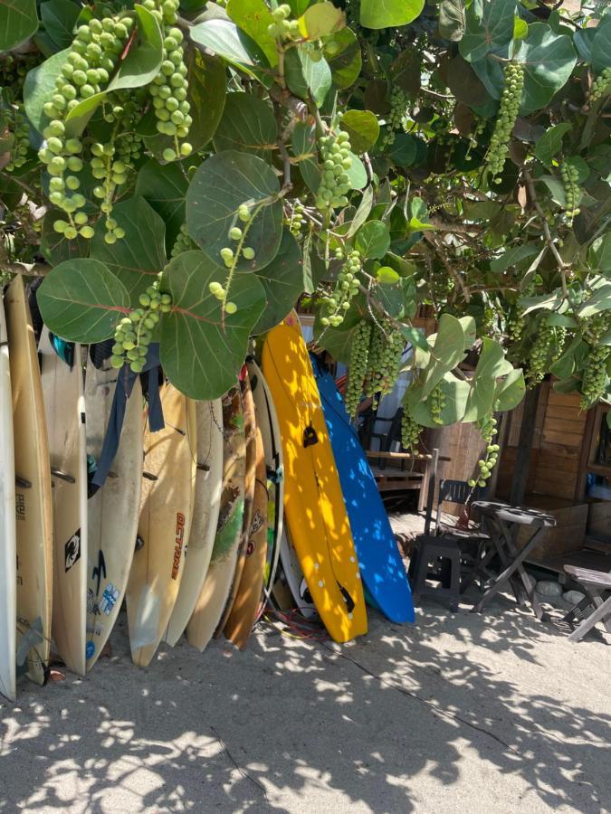 Chill And Surf Mendihuaca Ξενοδοχείο Guachaca Εξωτερικό φωτογραφία